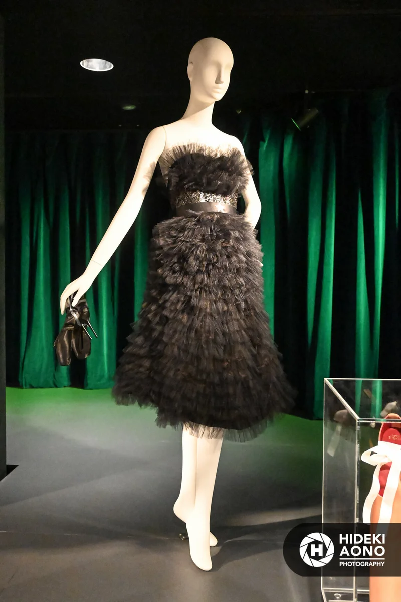 Ballerina FIT Hideki Aono 2.10.20 8 — Ballerina - Fashion's Modern Muse Feb 2020