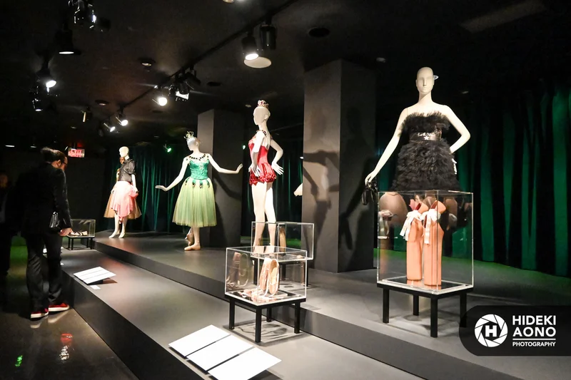 Ballerina FIT Hideki Aono 2.10.20 11 — Ballerina - Fashion's Modern Muse Feb 2020