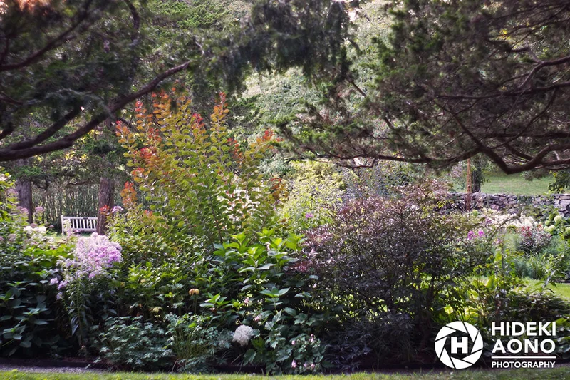 Garden 02 — Landscape