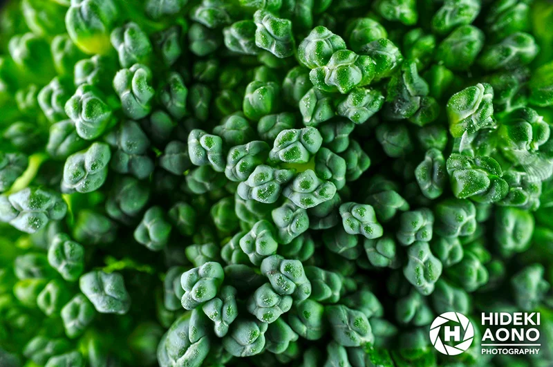 Hideki Aono Macro 7 — Macro