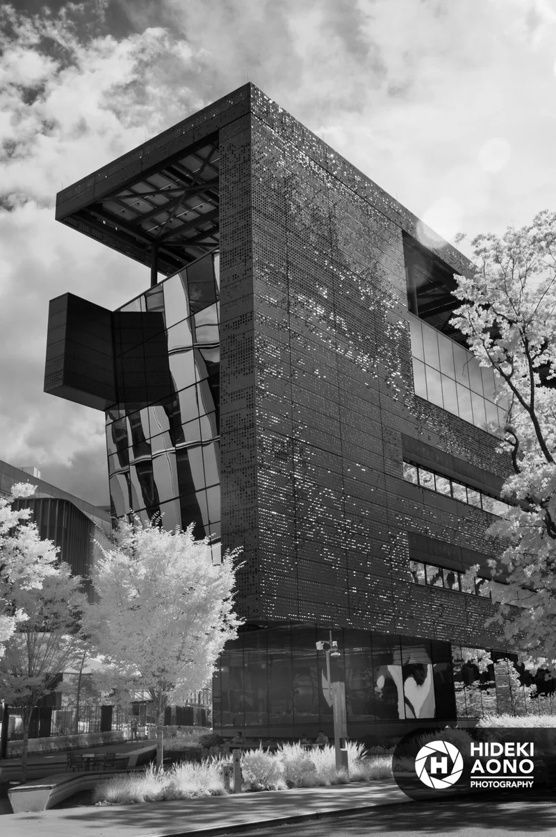 Roosevelt NYC 170 — New York City // Black & White