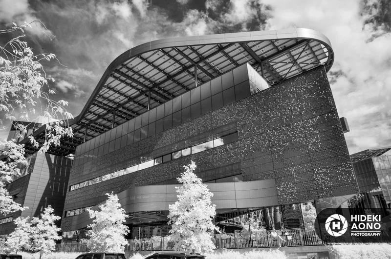 Roosevelt NYC 213 — New York City // Black & White