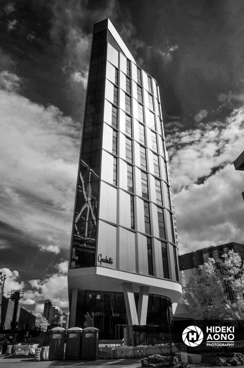 Roosevelt NYC 175 — New York City // Black & White