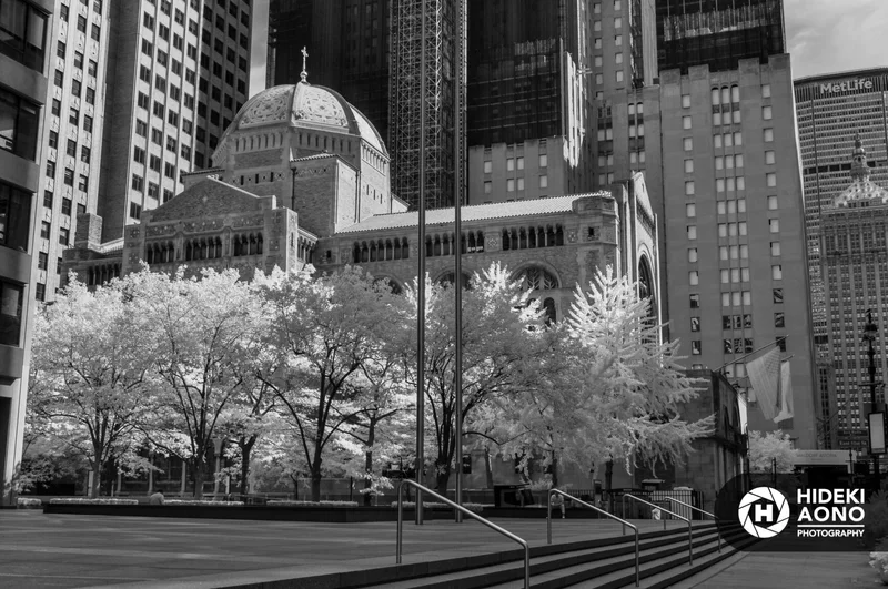 DSC00381 — New York City // Black & White