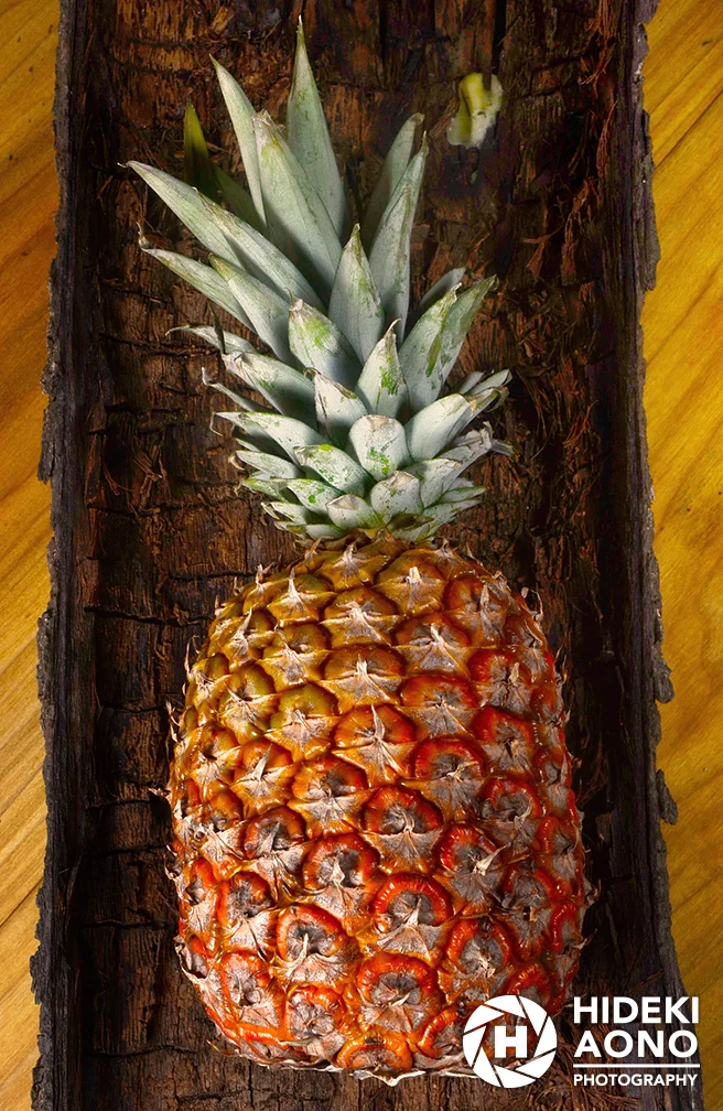 Hideki Aono Stilllife2 — Still Life / Fine Art